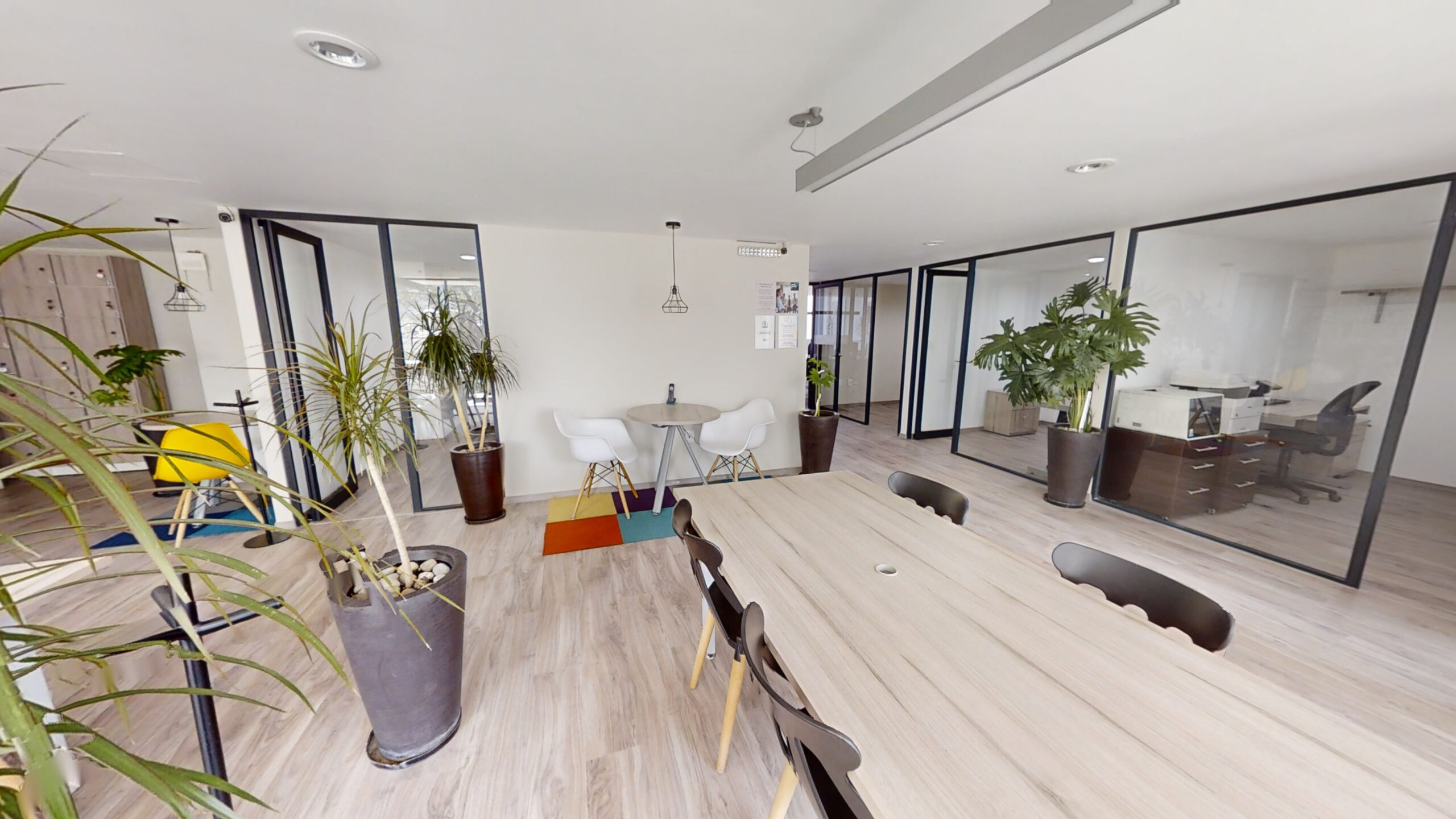 Proyecto 7 Polanco — área de trabajo