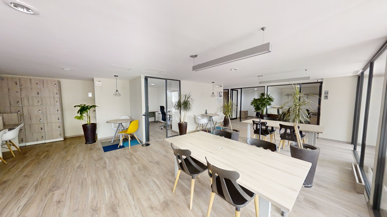 Proyecto 7 Polanco — área común